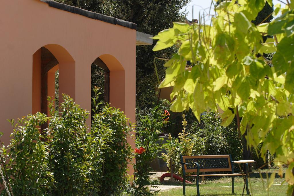 Fattoria Antonella San Gimignano